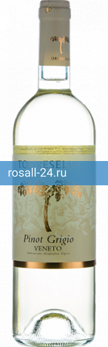 Фото 3 - Вино Pinot Grigio Torresella